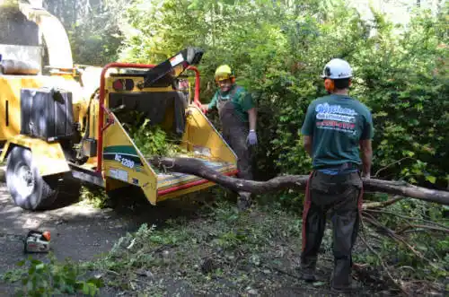 tree services Greenbriar